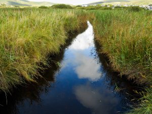 Irish Art, Art Gallery, Cill Rialaig, Cill Rialaig Arts Centre, paintings, art, visit Ireland, artist painting, art for sale, paintings for sale, original art for sale, art buyer, buy art, online art gallery, gallery art, art galleries websites, fine art gallery, Kerry, Kerry art